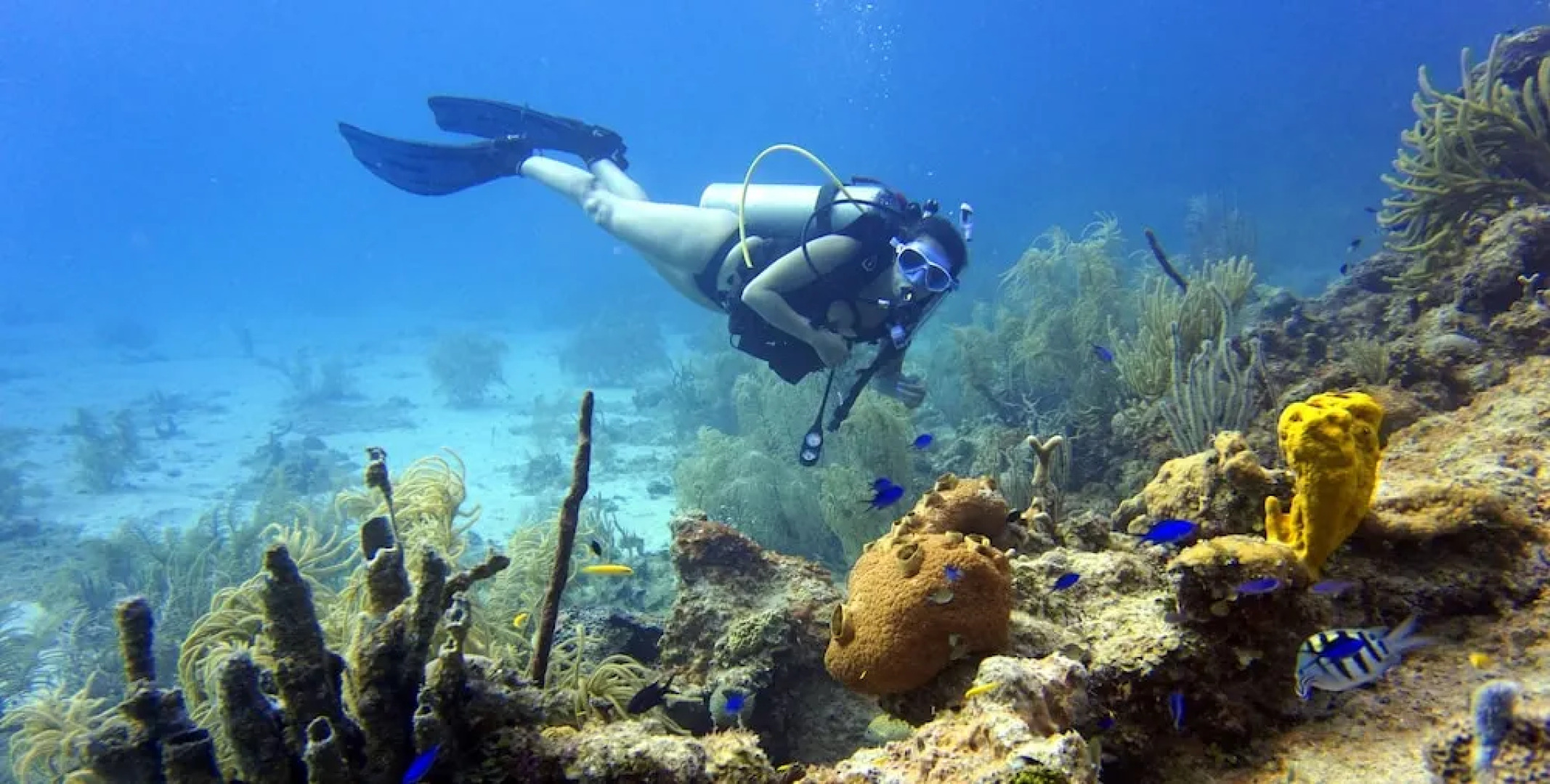 Hotel Casa De Las Flores