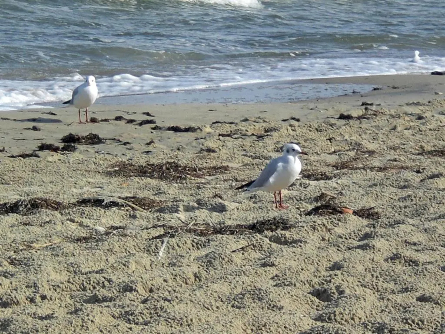 Ferienwohnung 10 im Haus Hühnergott