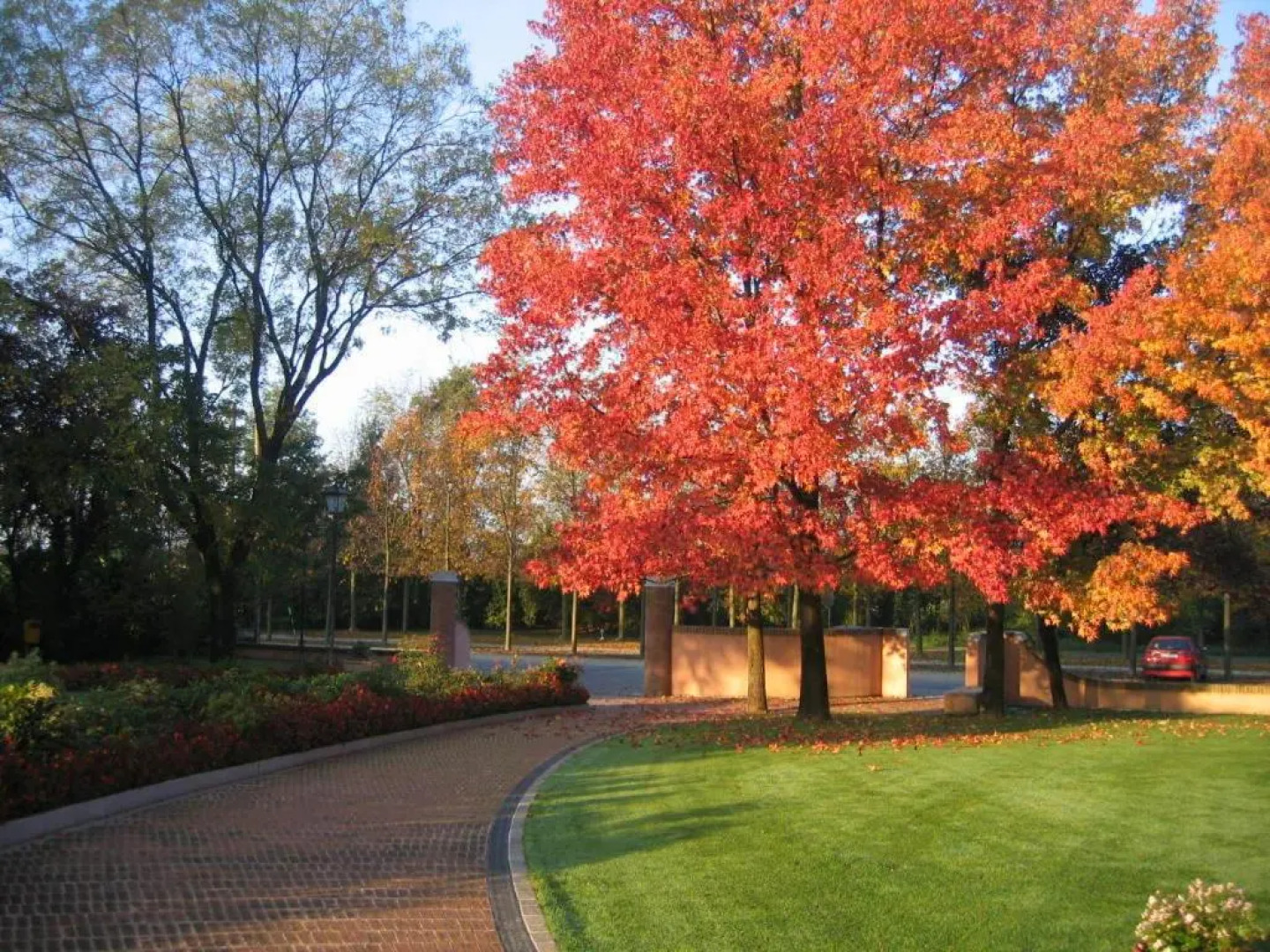 Hotel Del Parco Ristorante Loris