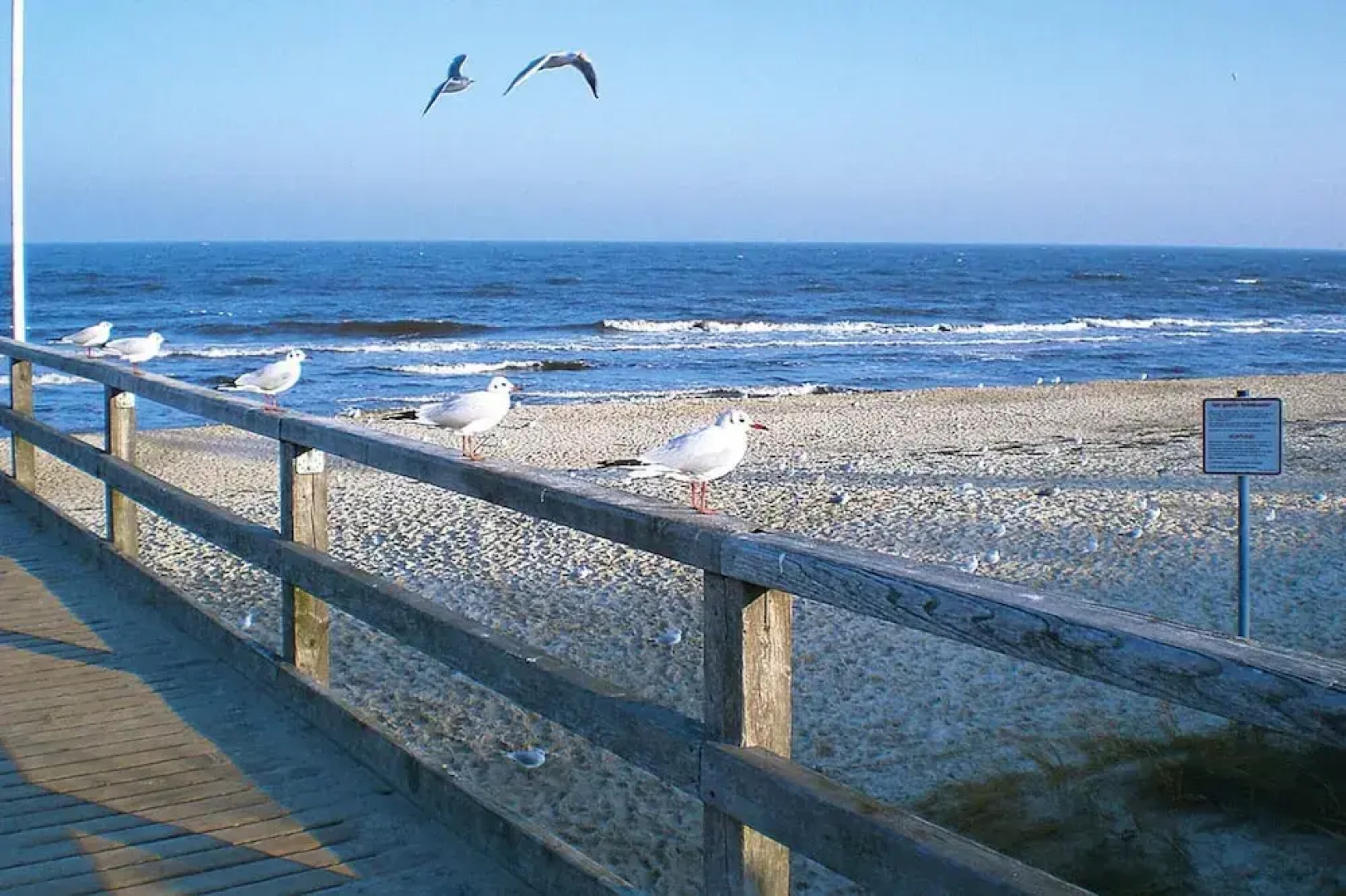 Ferienhaus, Zinnowitz