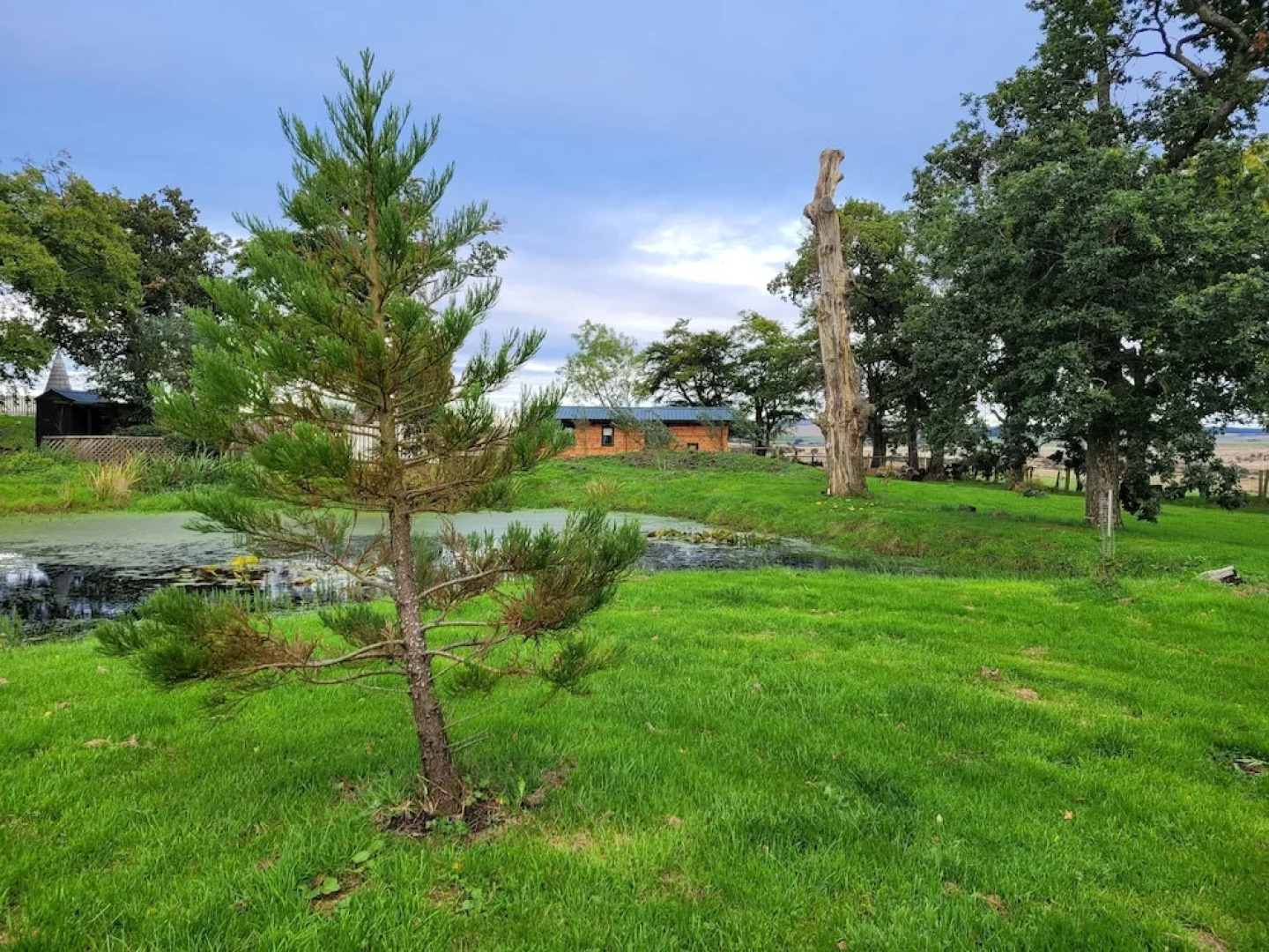 Cosy Wood Cabin in Rural Area Near National Park