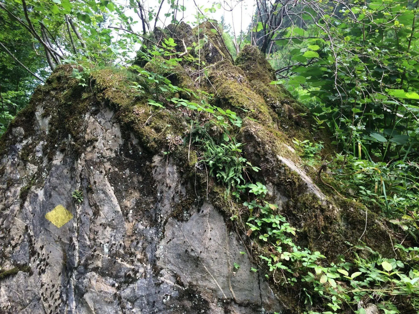 Bellevue-Terminus - Urban Lifestyle Hotel