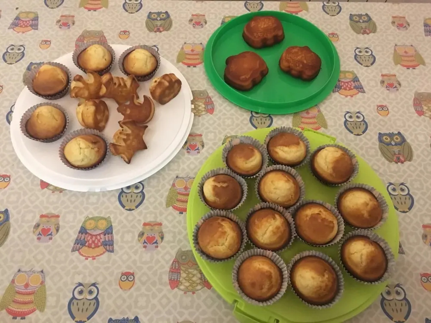 L'Ora delle Streghe Charme and Design b&b