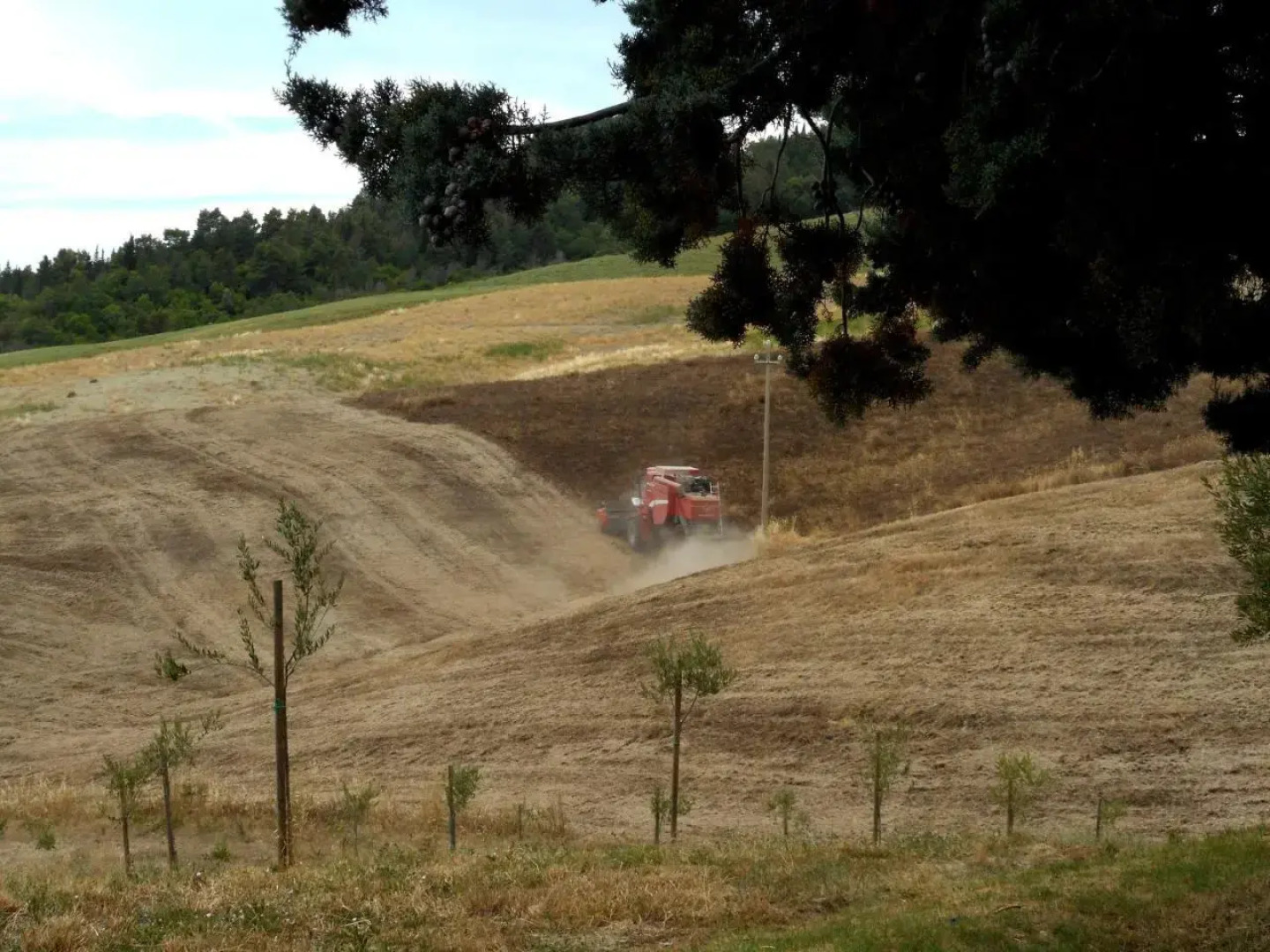 Agriturismo Santa Bruna