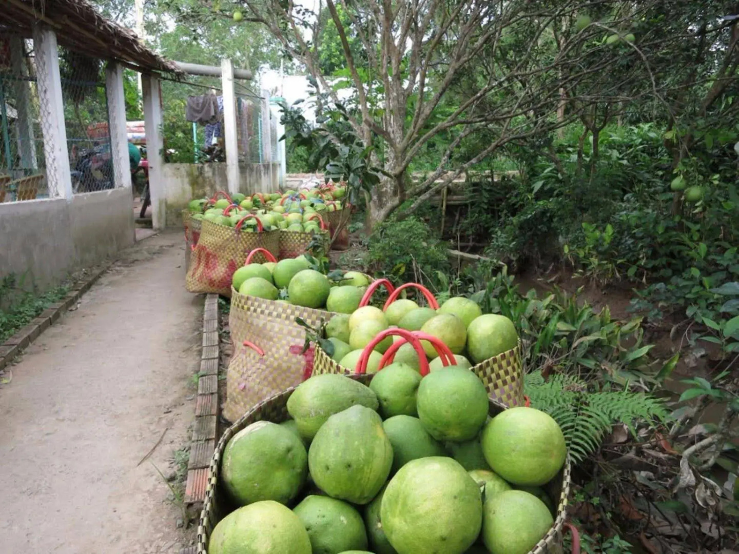 My Hoa Mekong Homestay