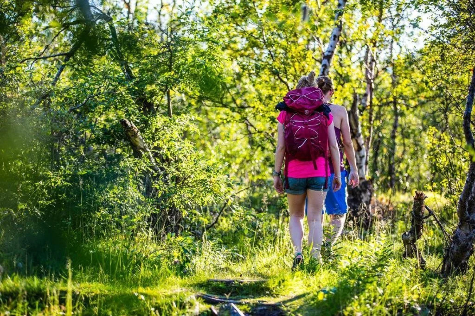 Touristenstation STF Abisko
