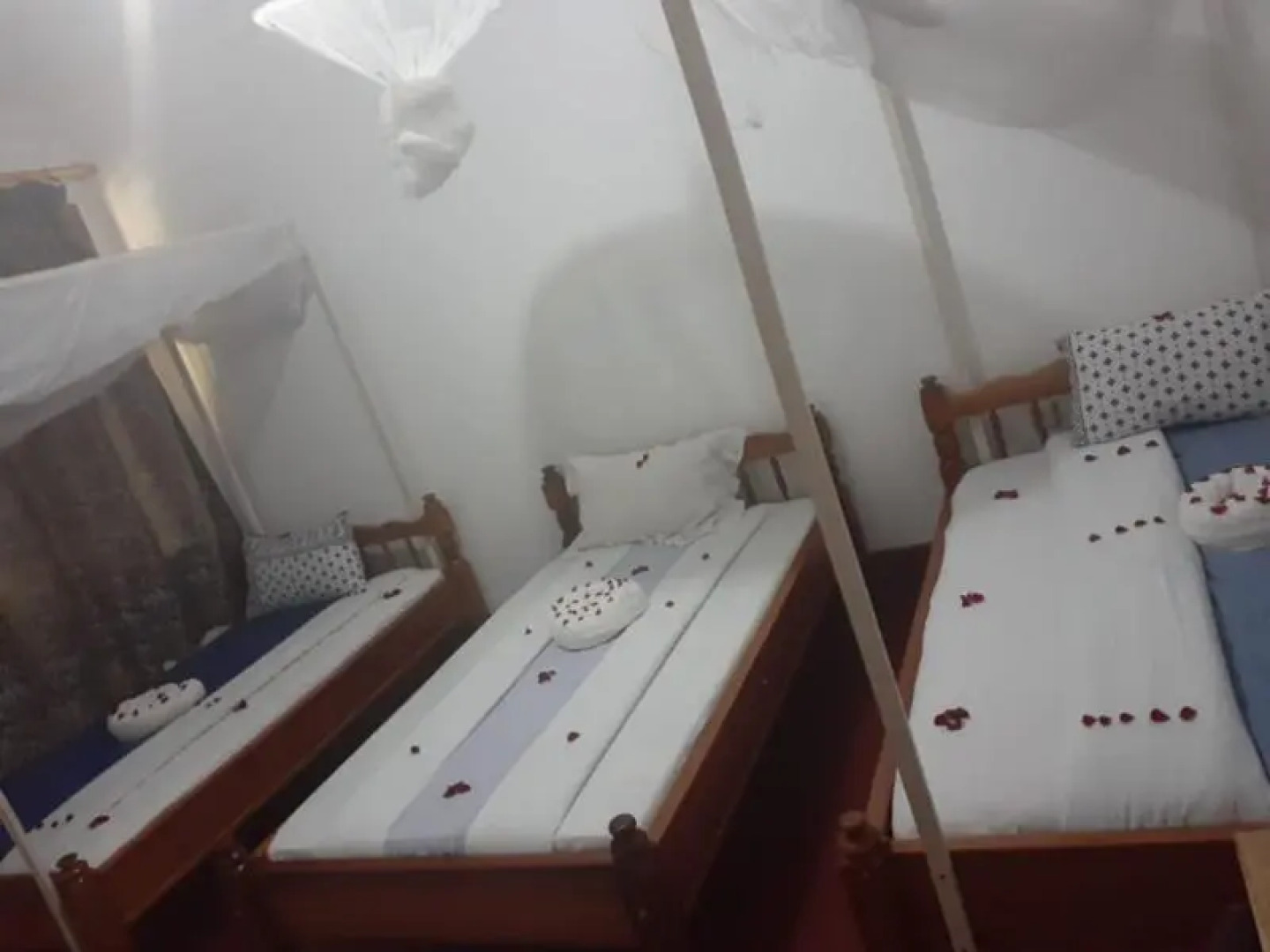 Kilimanjaro Safaris Lodge