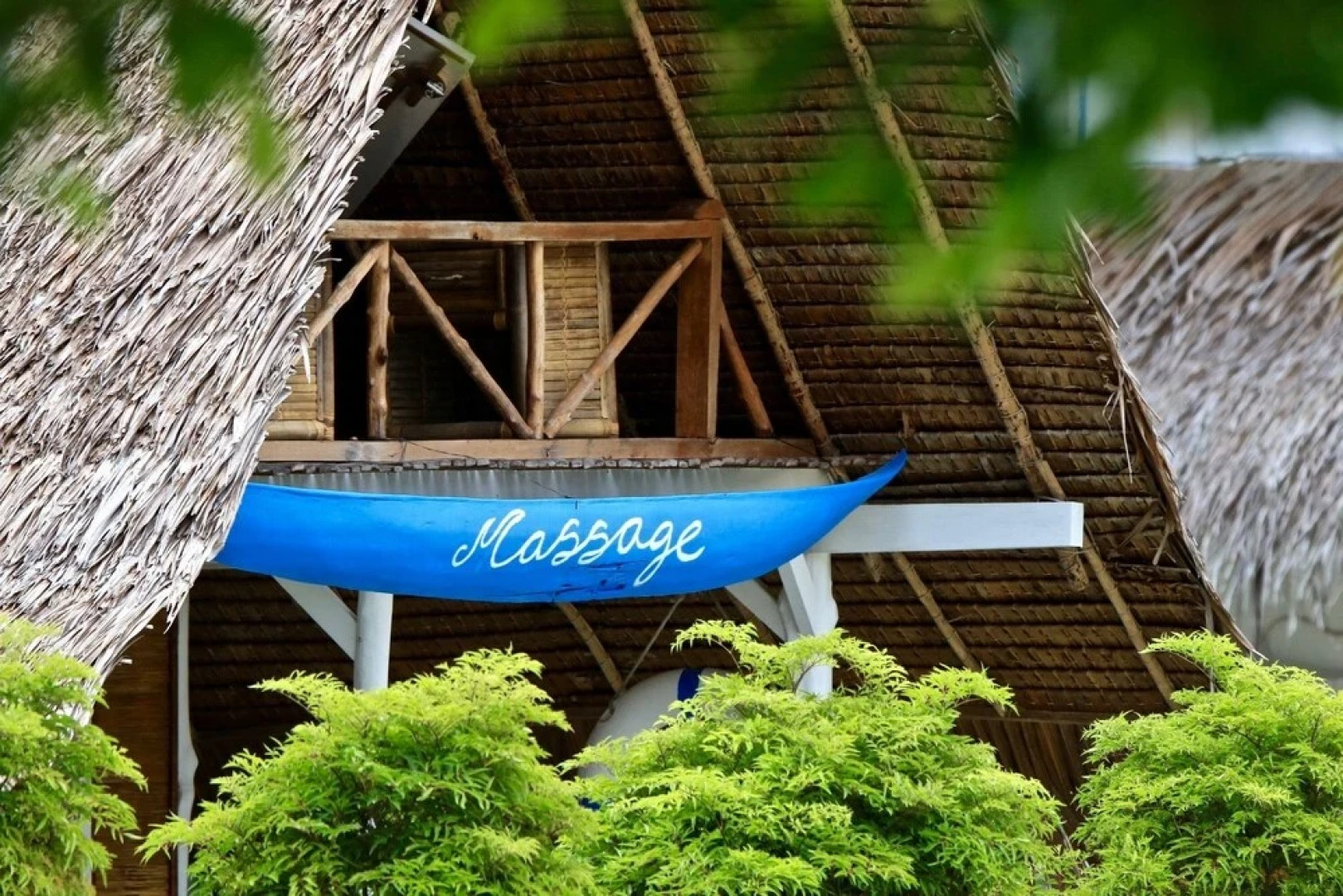 Hollow Tree's Resort