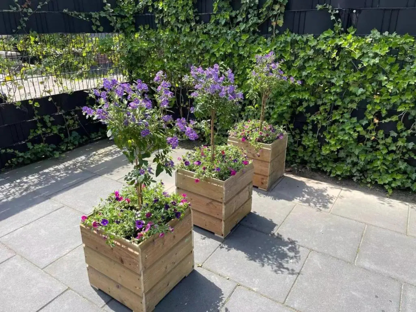 Chalet 15 (Resort Venetië)