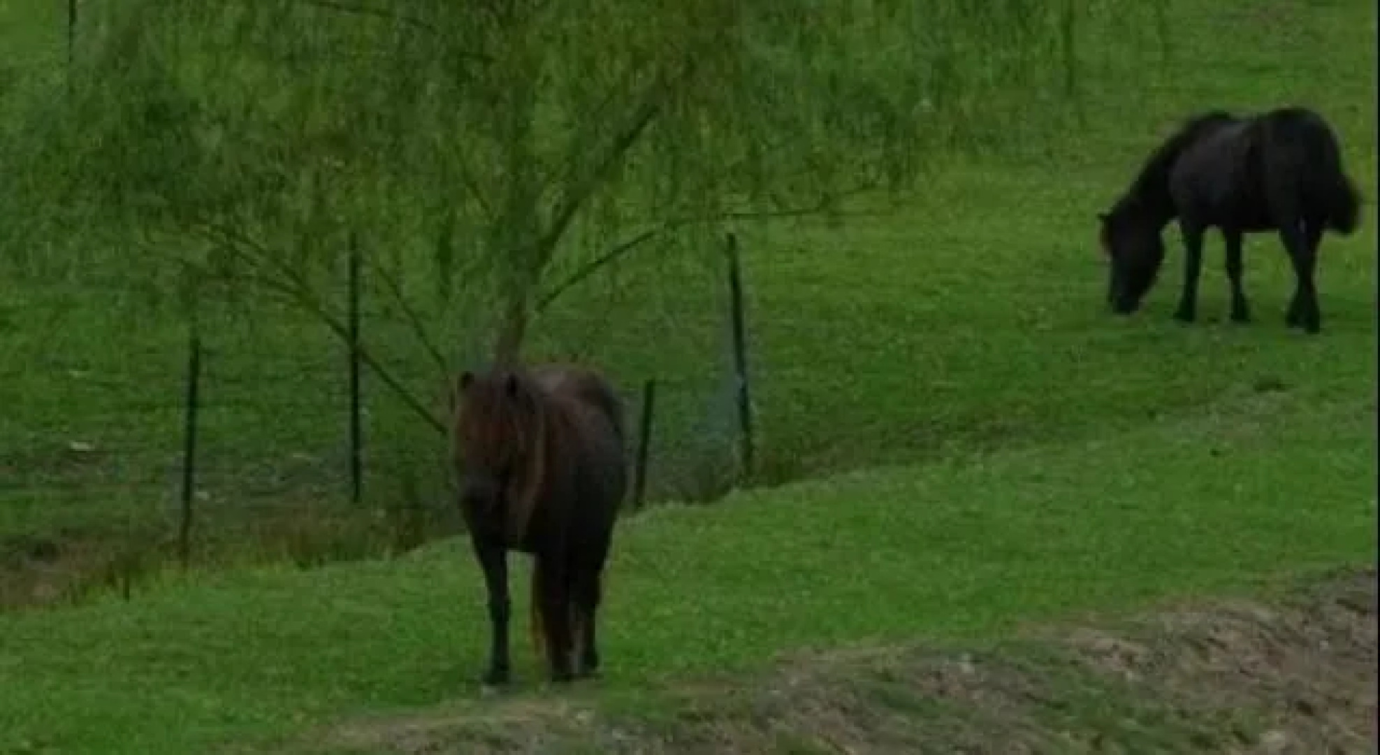 "Mansfield" Cottage Barrington