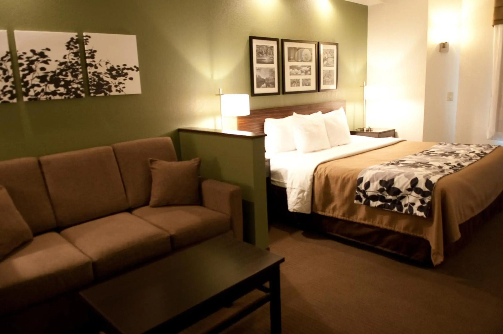 Sleep Inn & Suites Buffalo Airport
