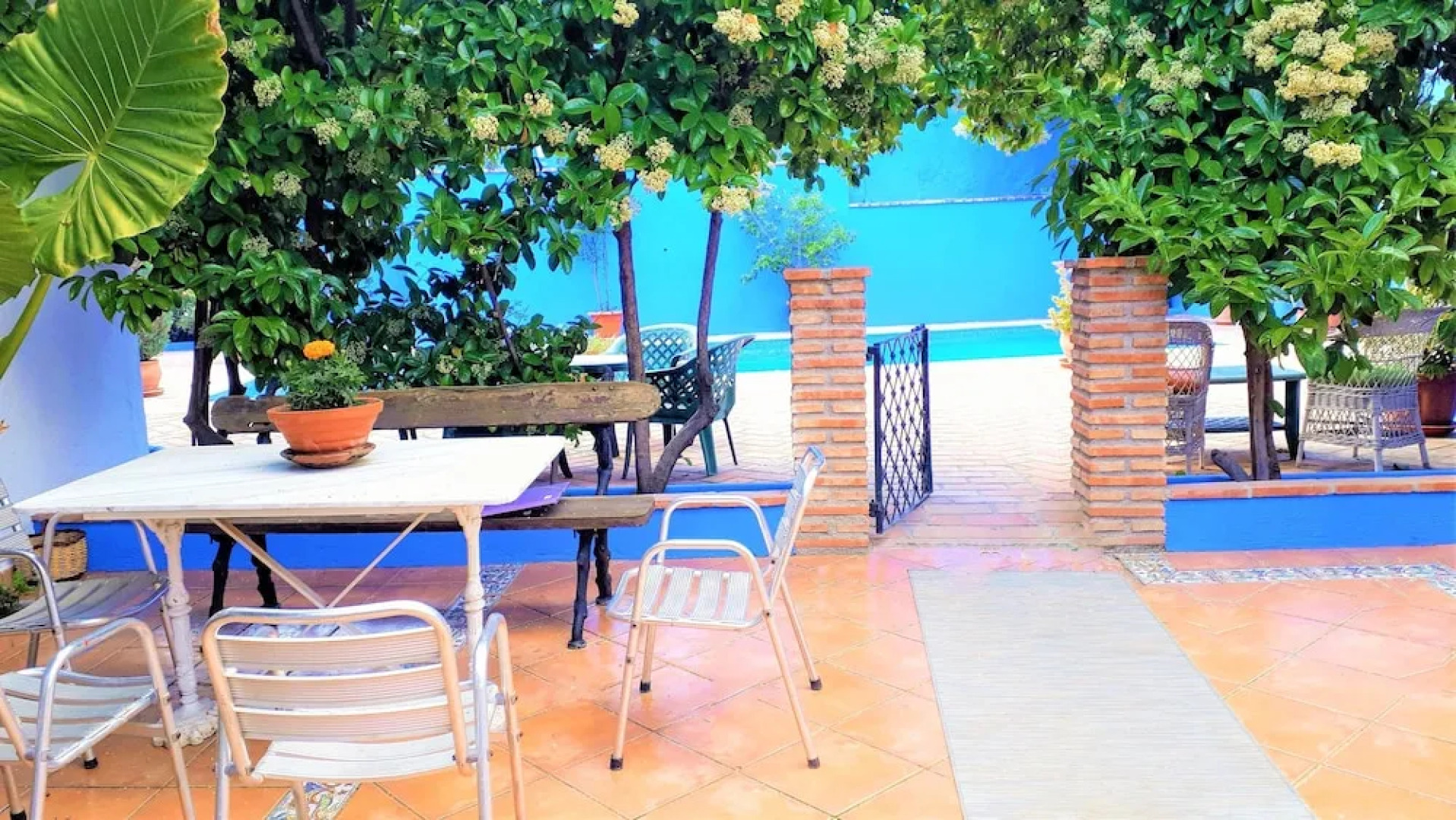 The House of Illora,