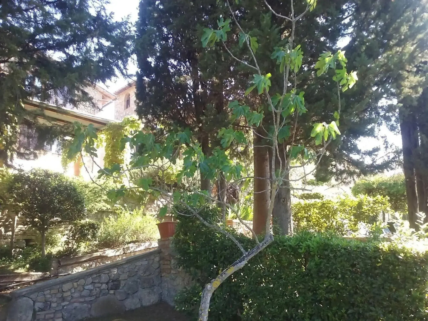 Hotel Pescille - Tuscany Charme