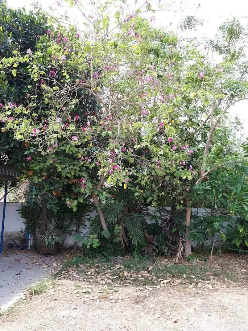 Sabaidee Resort Prakhonchai