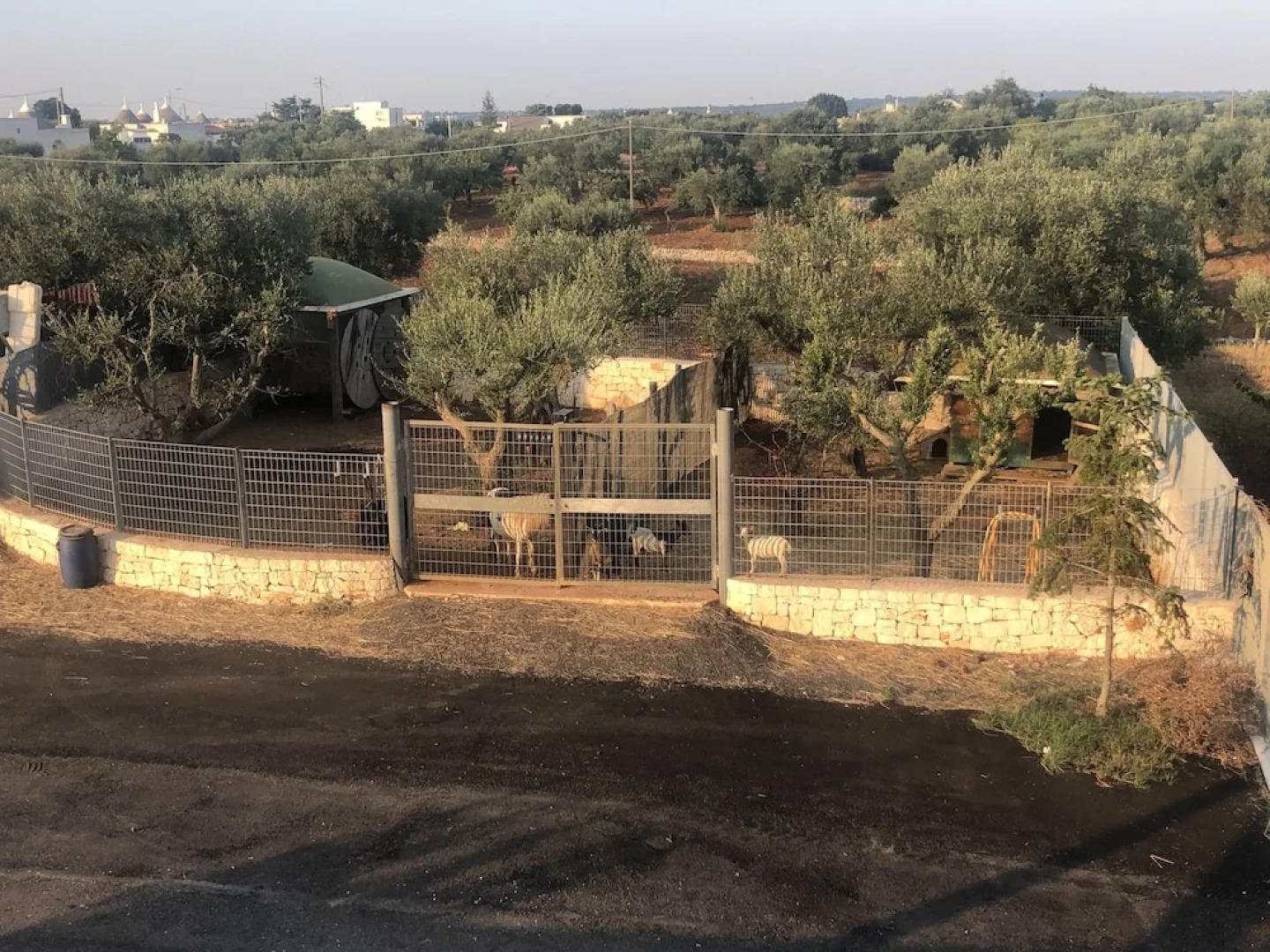 BB La Rosa Dei Venti