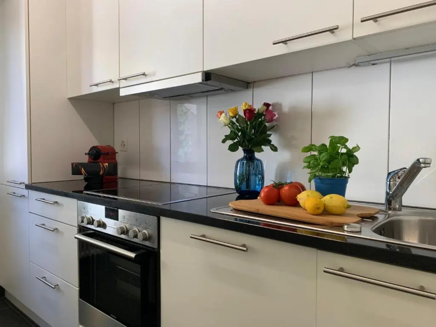 Modern 2 bedroom apartment close to Zurich airport