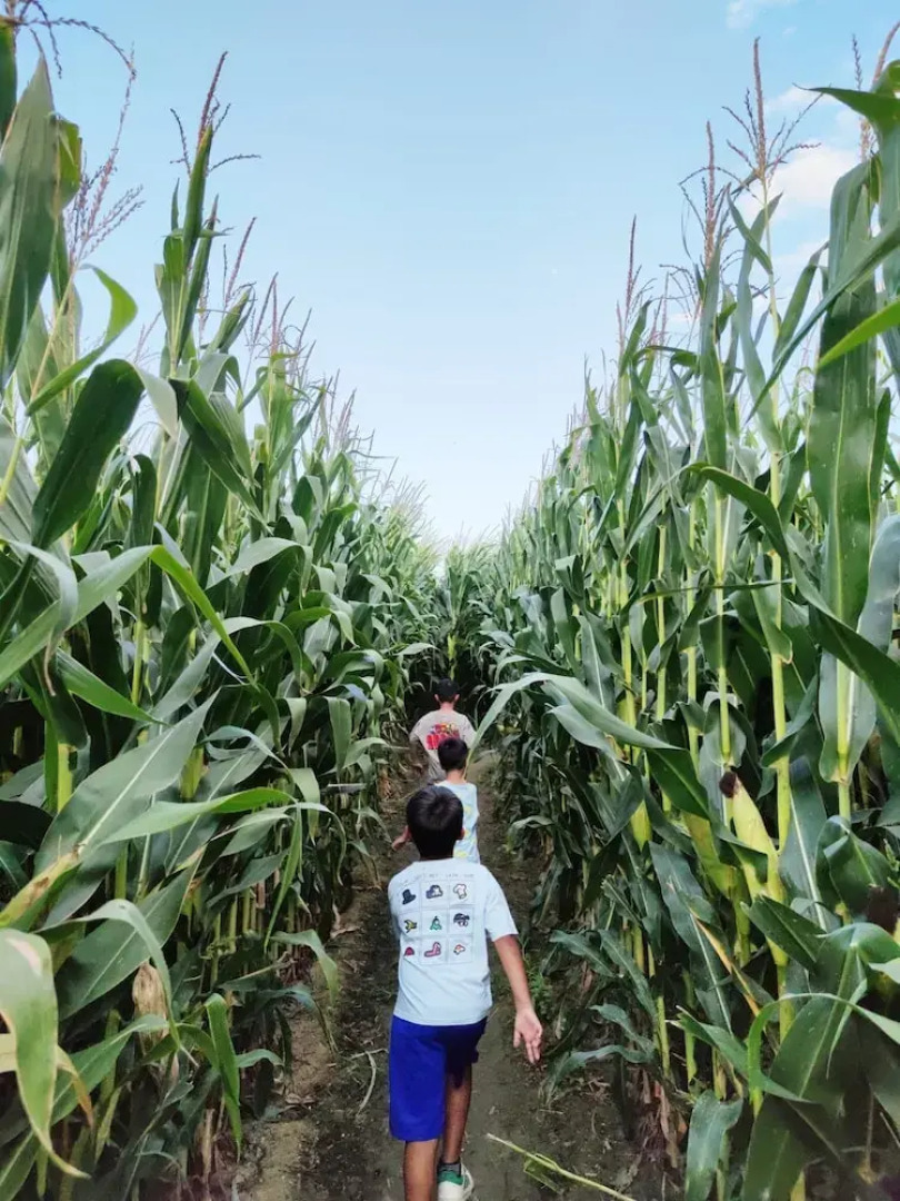 Can Pujol Turisme Rural