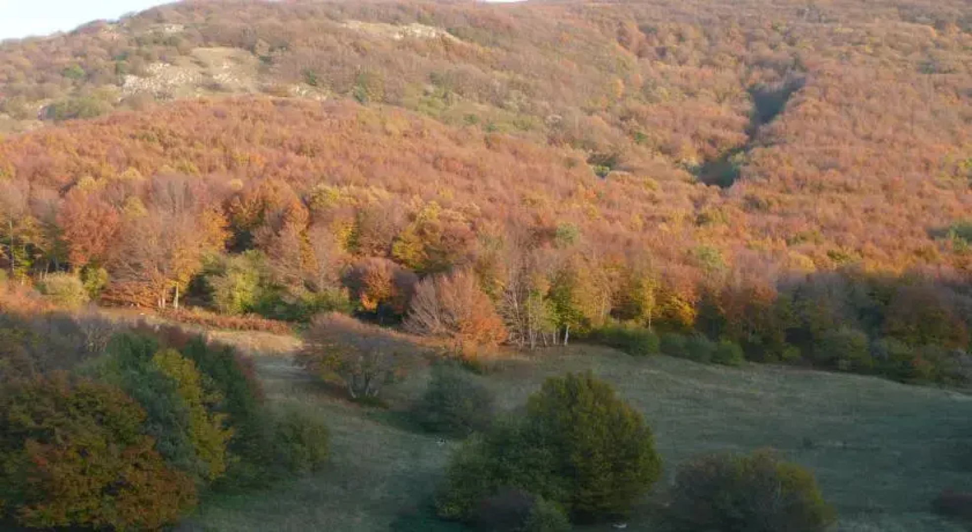 Country house il Gelsomino