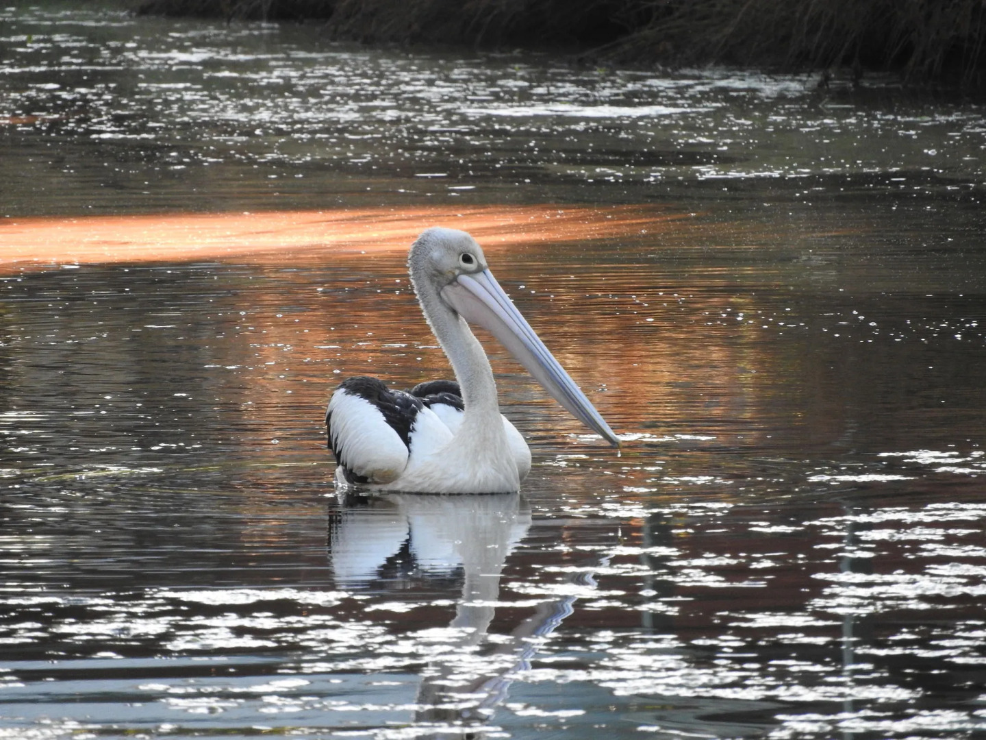 Victoria Lake Holiday Park