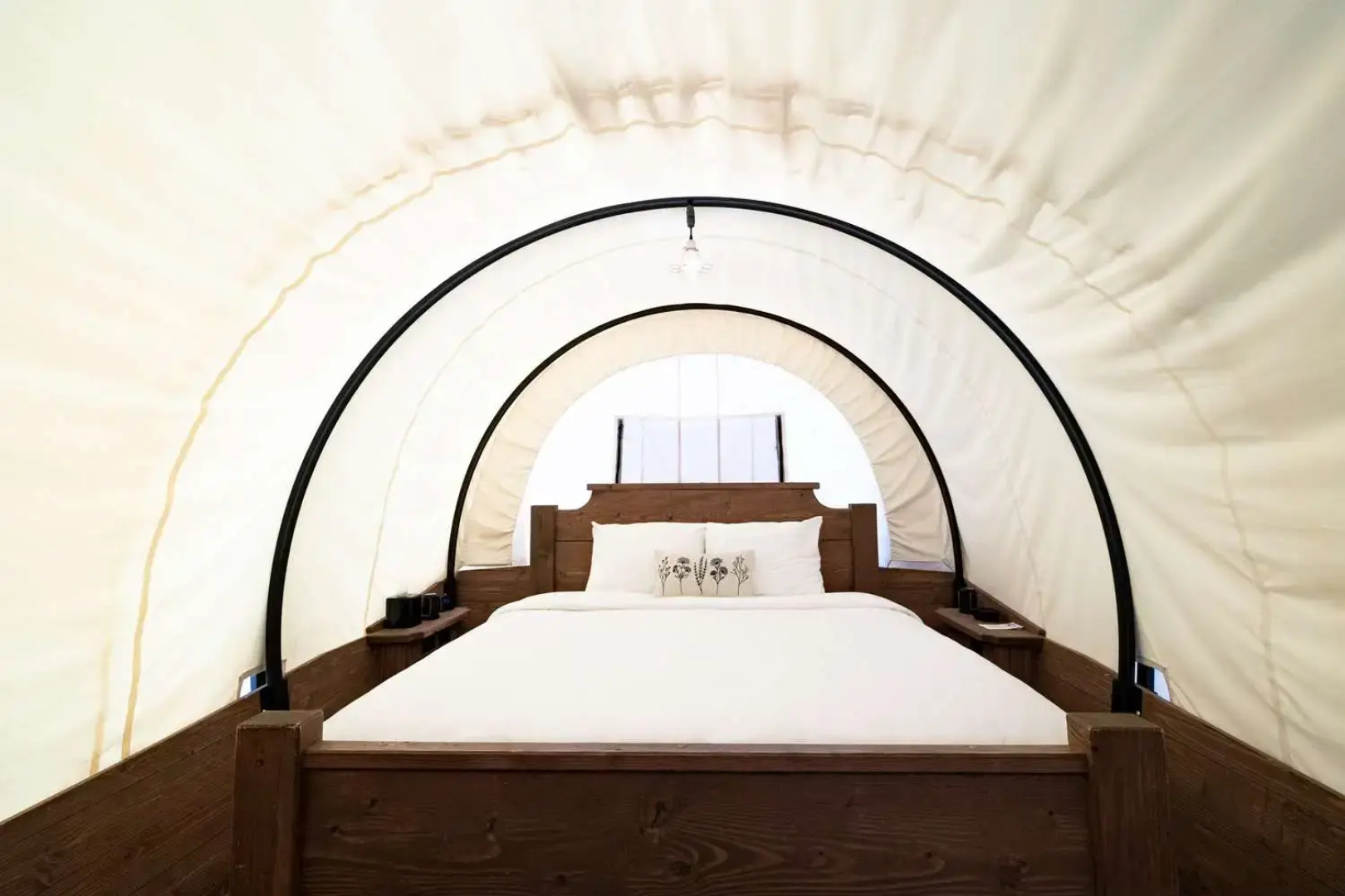 Zion Wildflower, BW Premier Collection