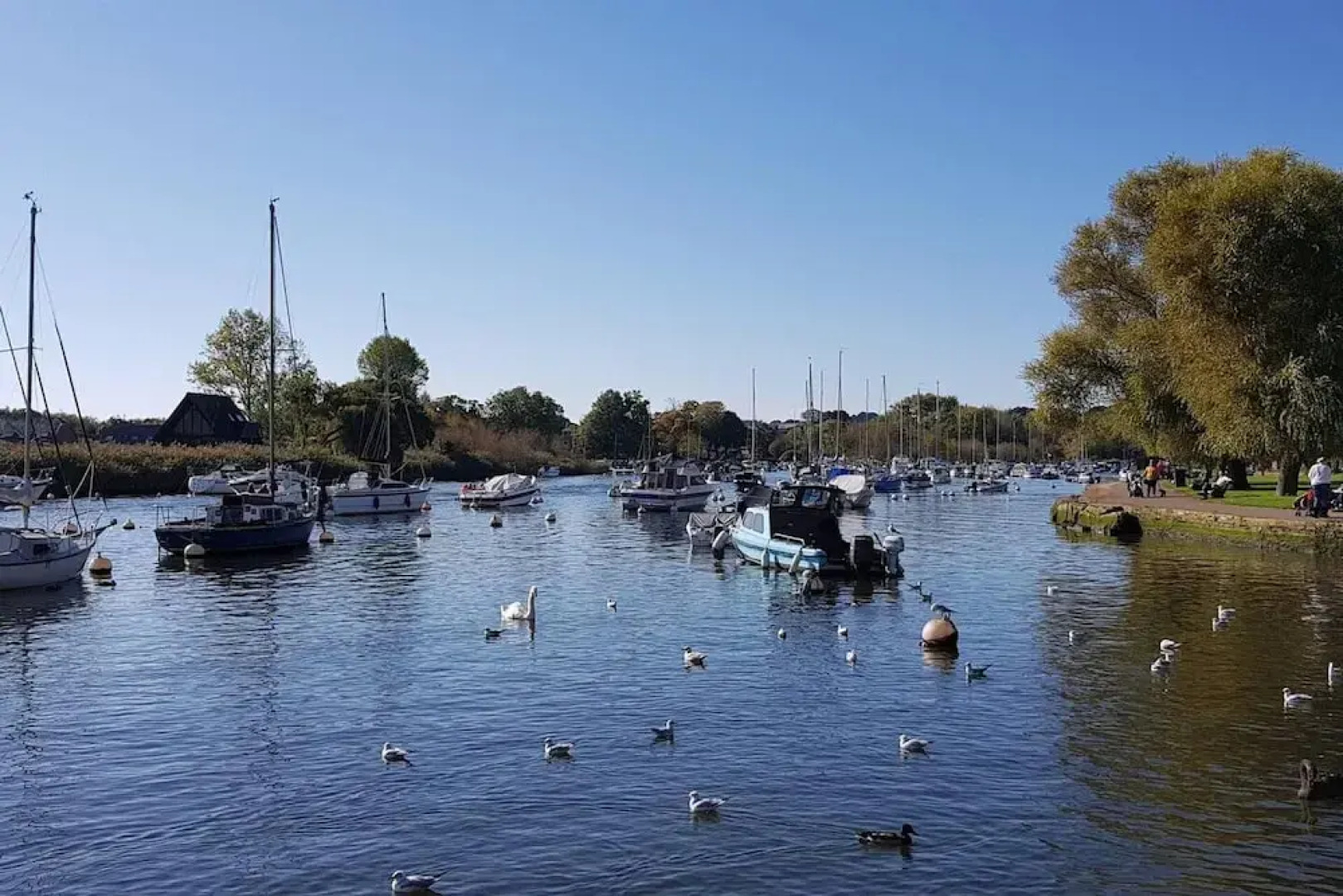 The Cedarwoods - Luxury Studio for 5!