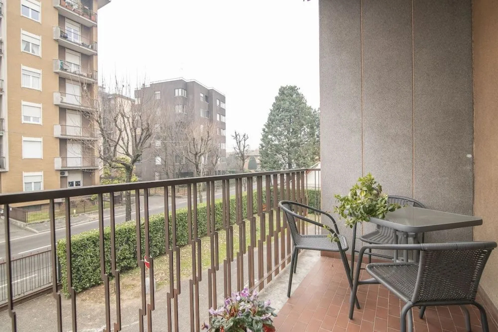 Residenza Miola S.a.s.