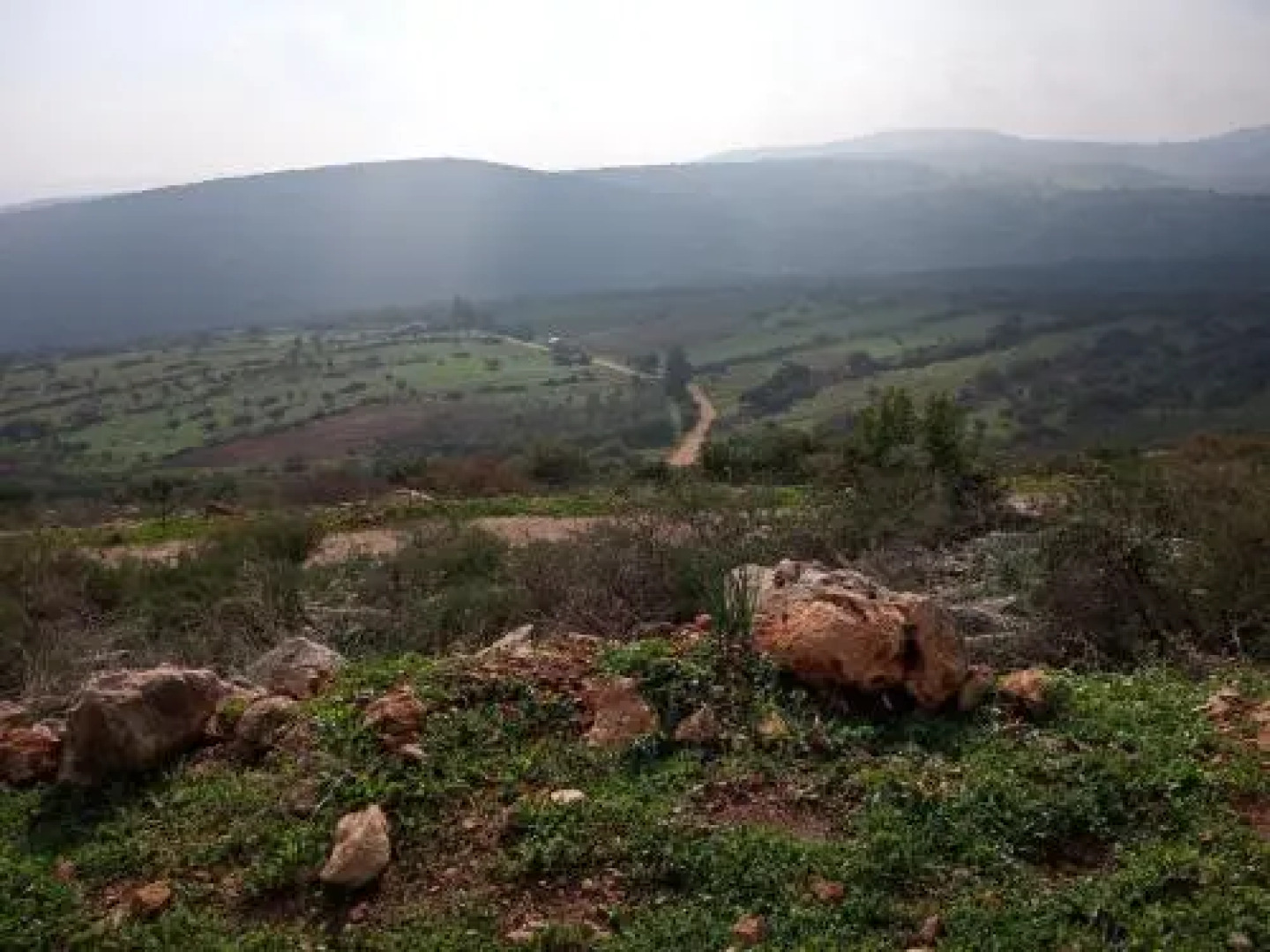 Blue House In The Woods- Amirim