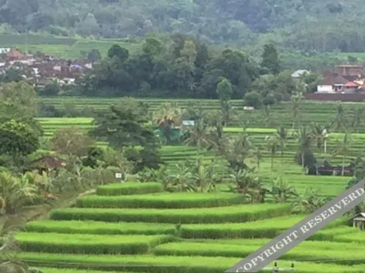 Prana Dewi Mountain Resort