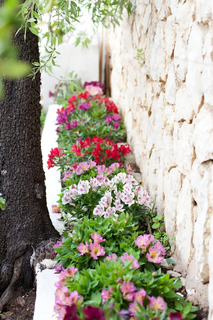 Quinta Bonita Luxury Boutique Hotel