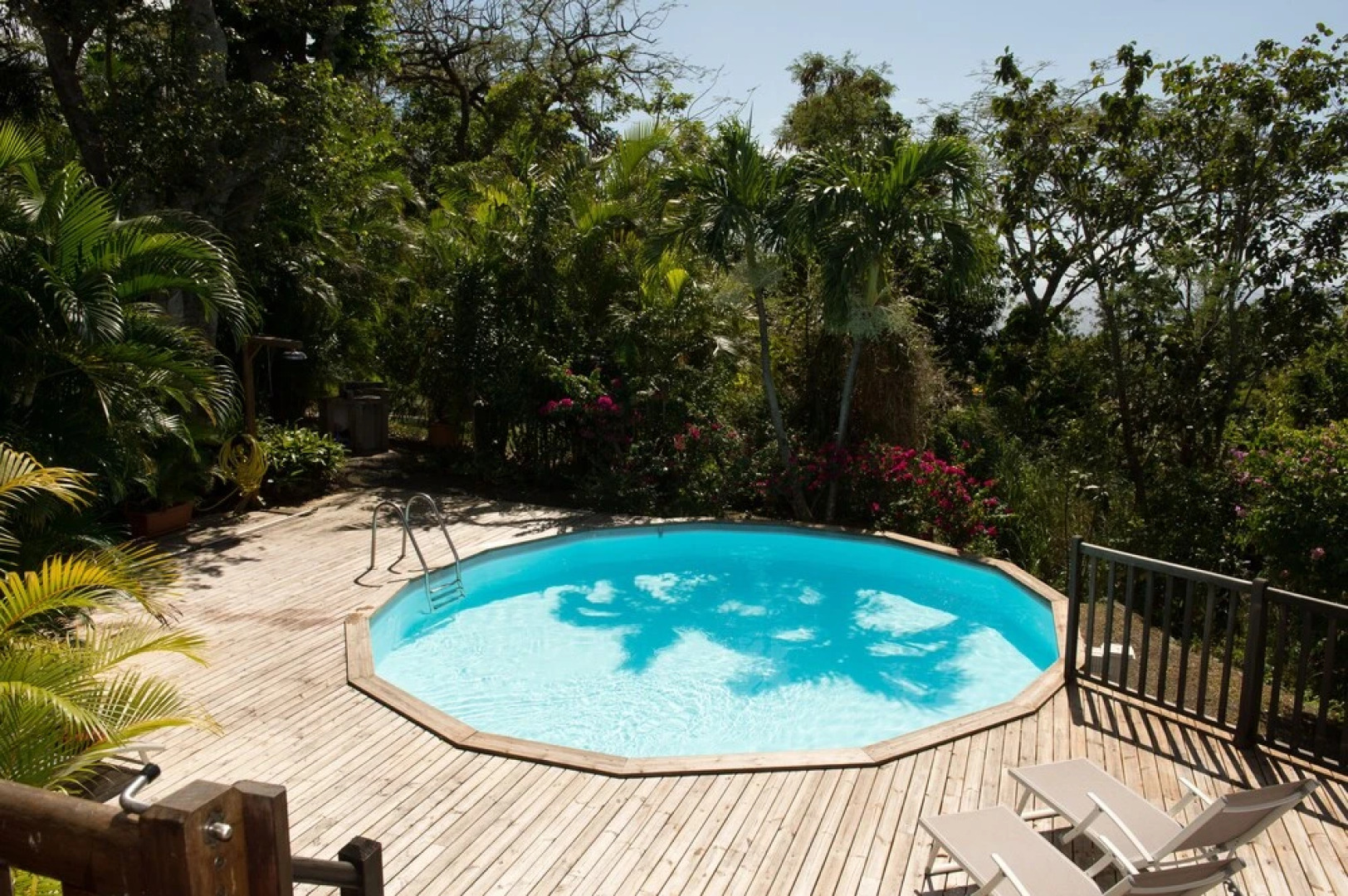 Villa Du Jardin Botanique, Ex. Propriete Coluche