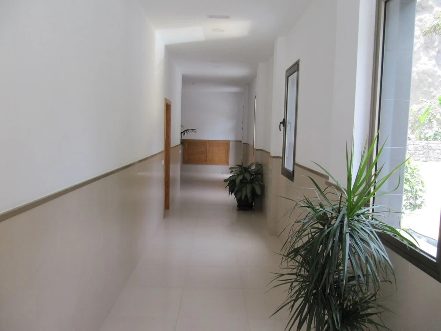 Apartamentos Las Palmeras