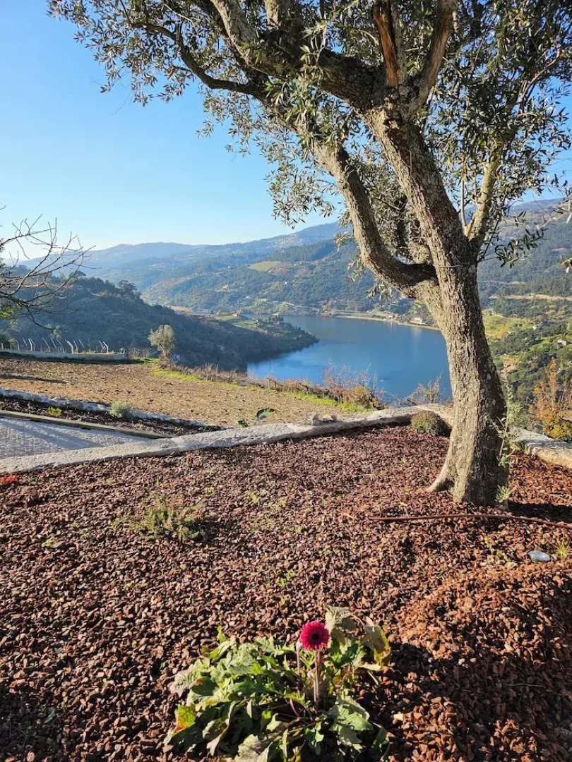 Quinta D'Joanes Douro
