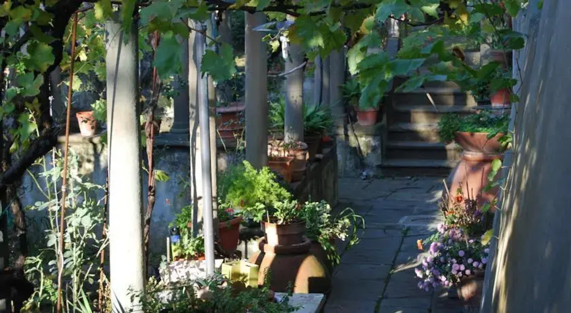 Palazzo Del Capitano