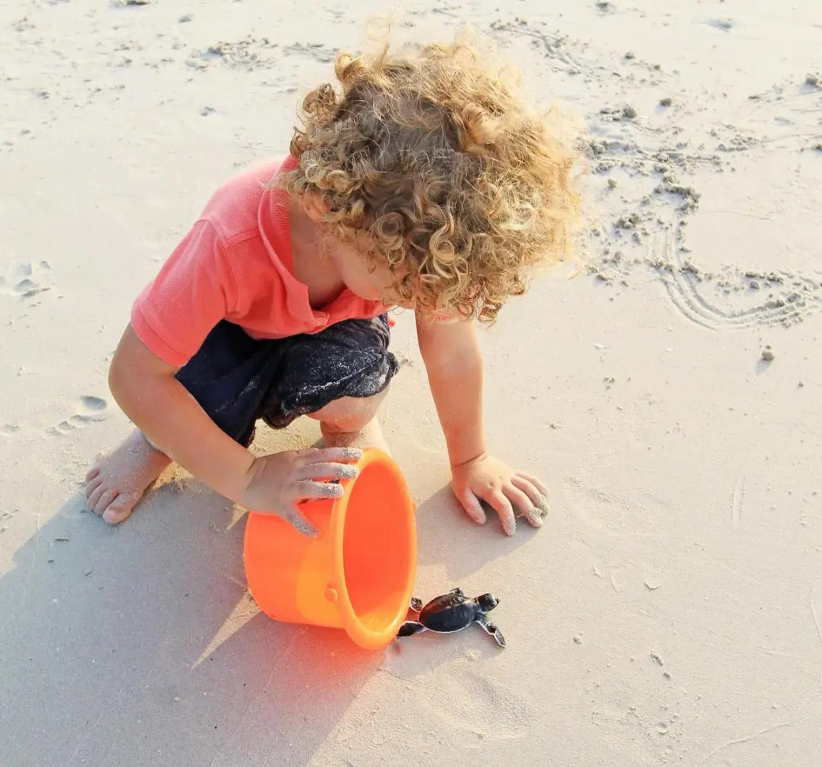 Nirwana Gardens - Indra Maya