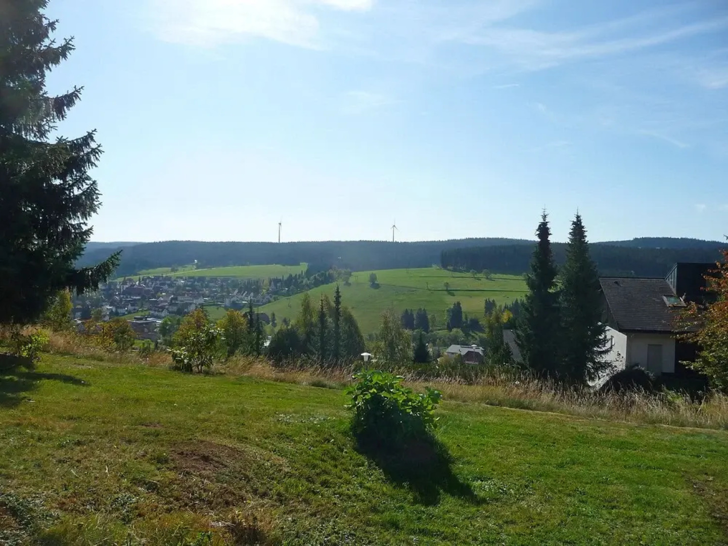 Schwarzwaldblick Schonach im Schwarzwald