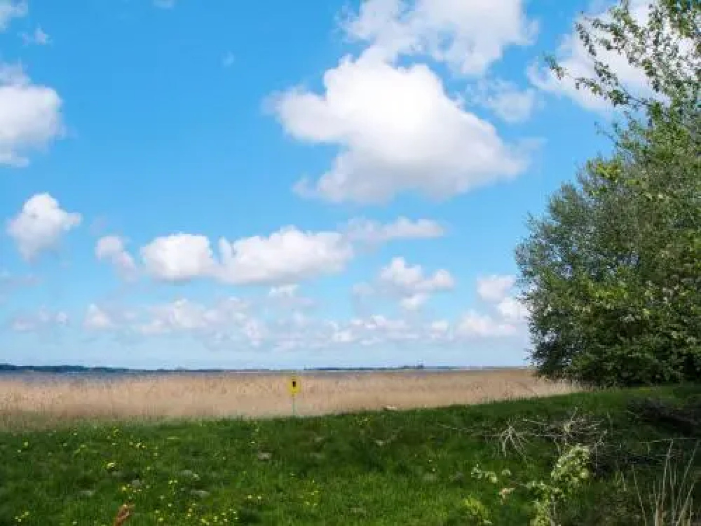 Ferienhaus Boddenruhe 120S