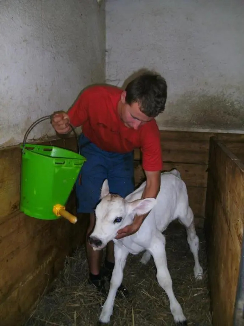 Linharterhof Appartement