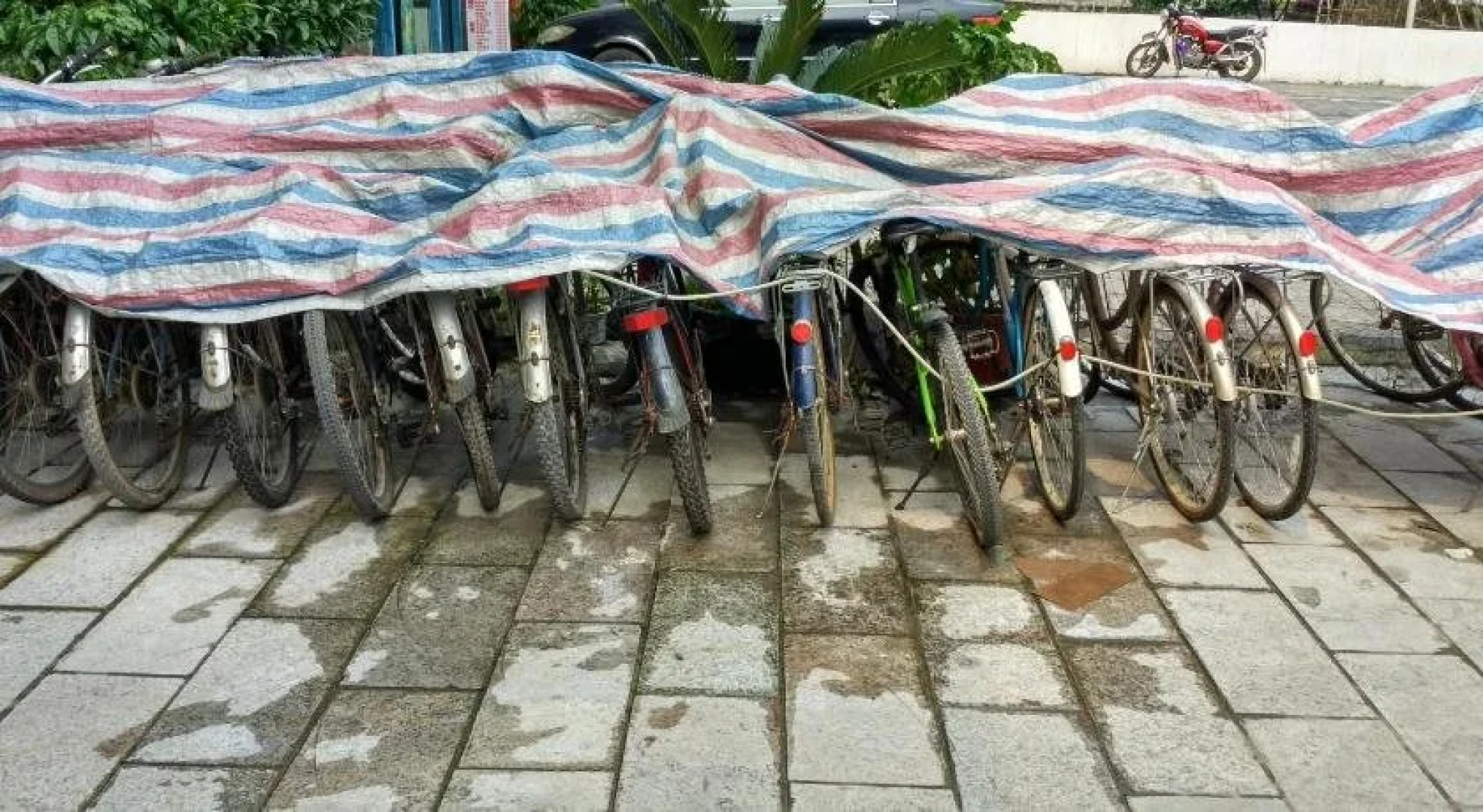 Fun Sam's Bed and Breakfast