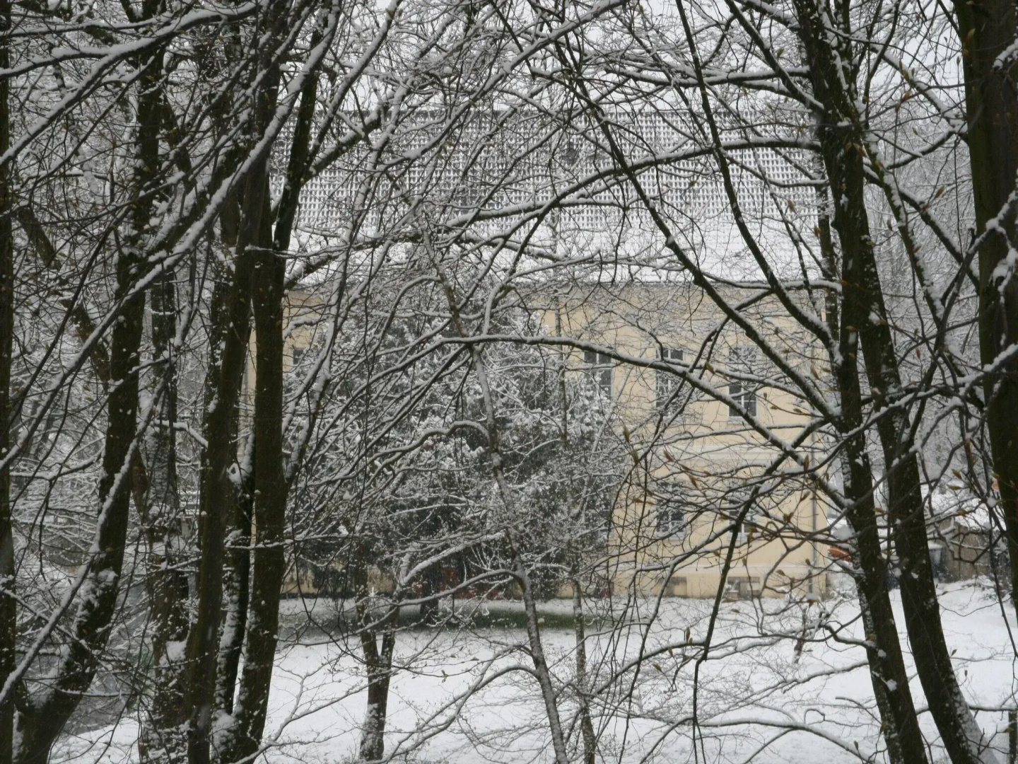 Schönhagener Mühle