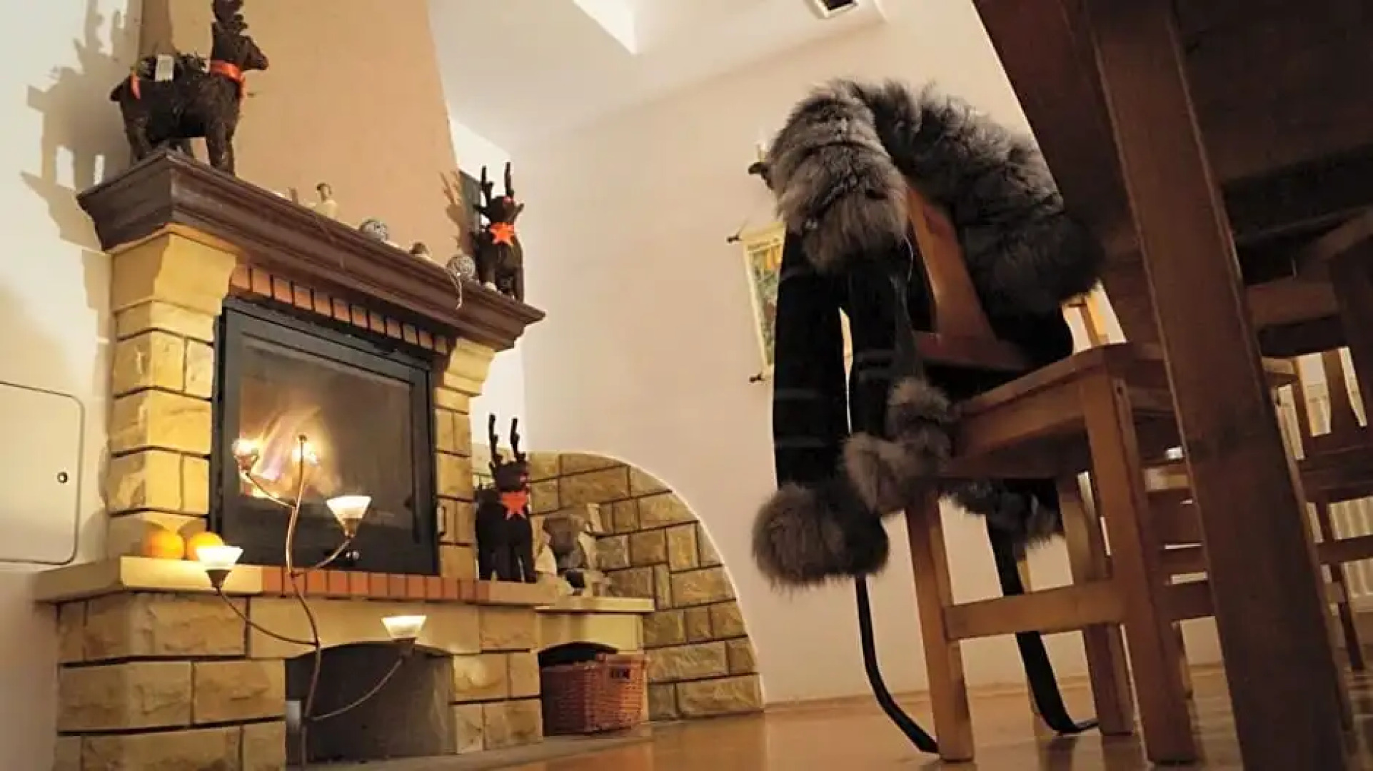 WILLA MAŁE ALPY SPA Basen Jakuzzi, 300 m od Bike Parku i Wieży Widokowej