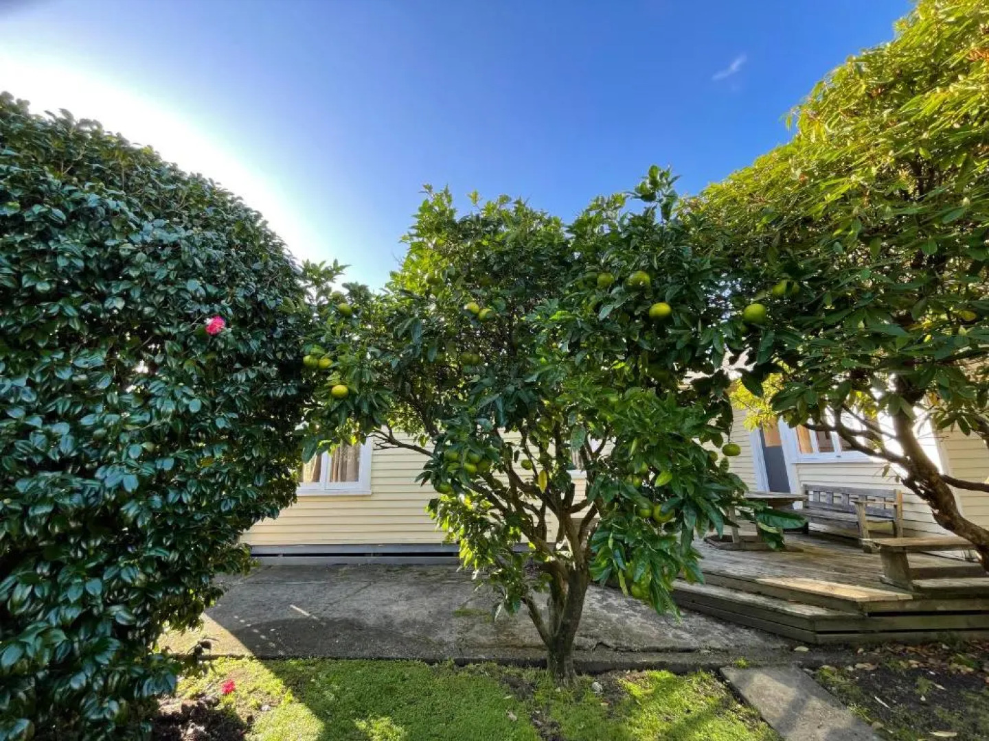 NO PARTY ALLOWED, Peaceful, Spacious, central Petone, free unlimited Fibre Wi-Fi & free parking