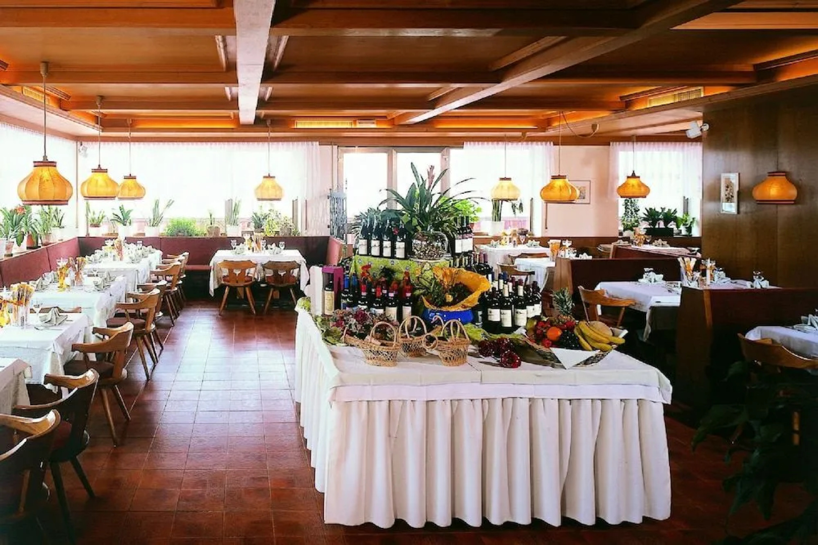 Hotel Alpina