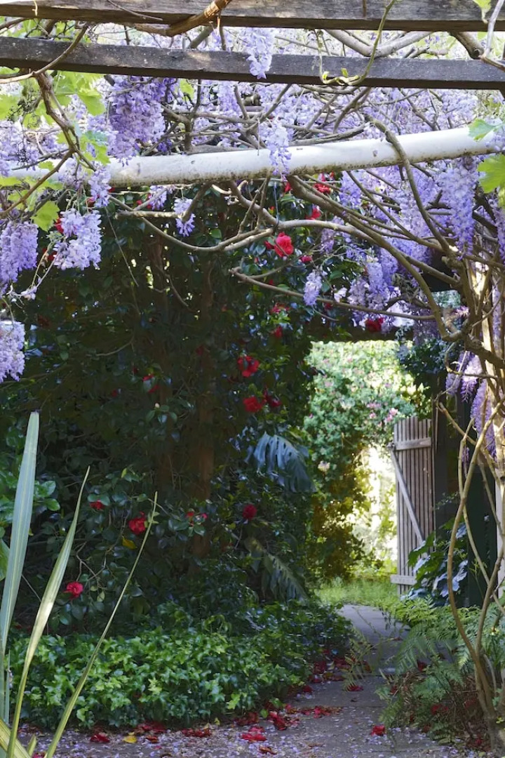 Porongurup Village Inn Cottages