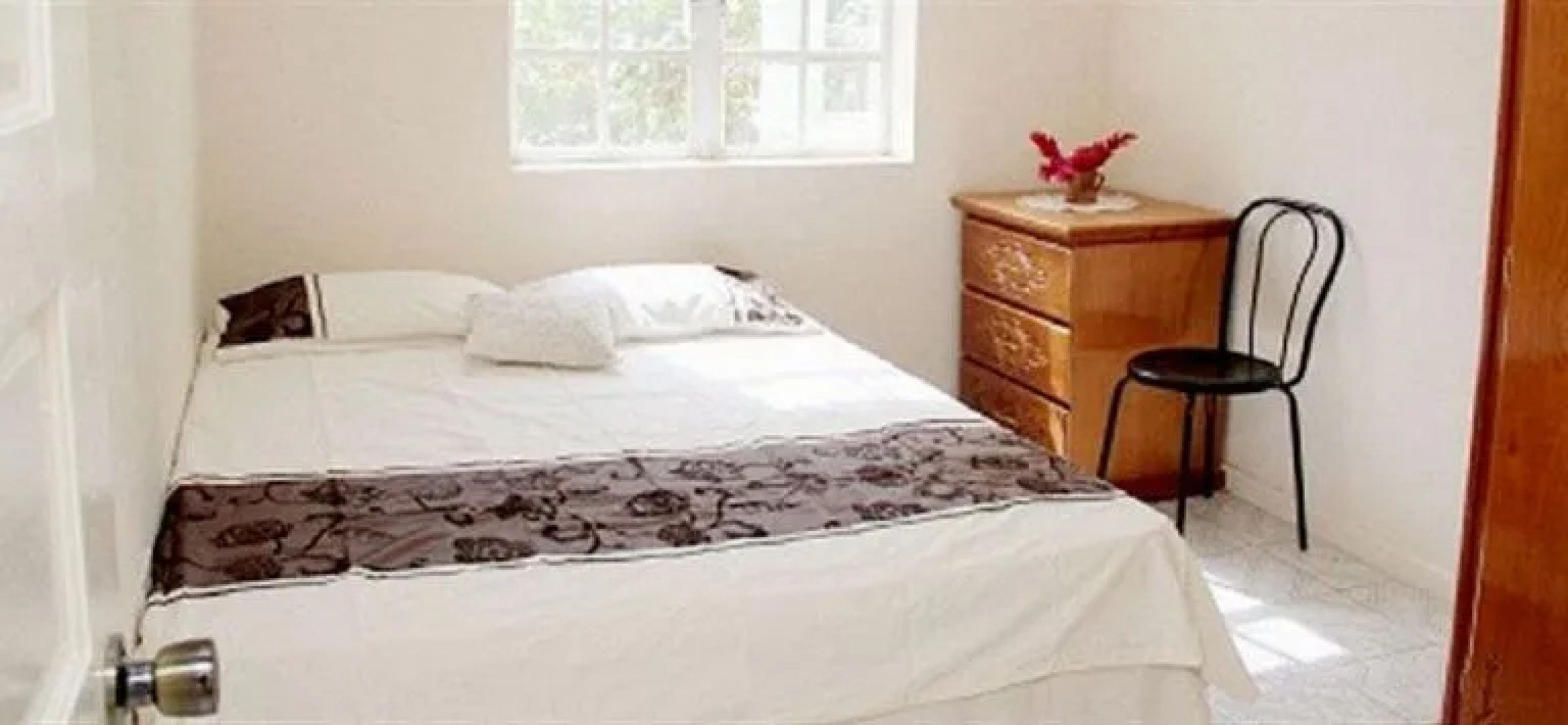 Gekko Lodge
