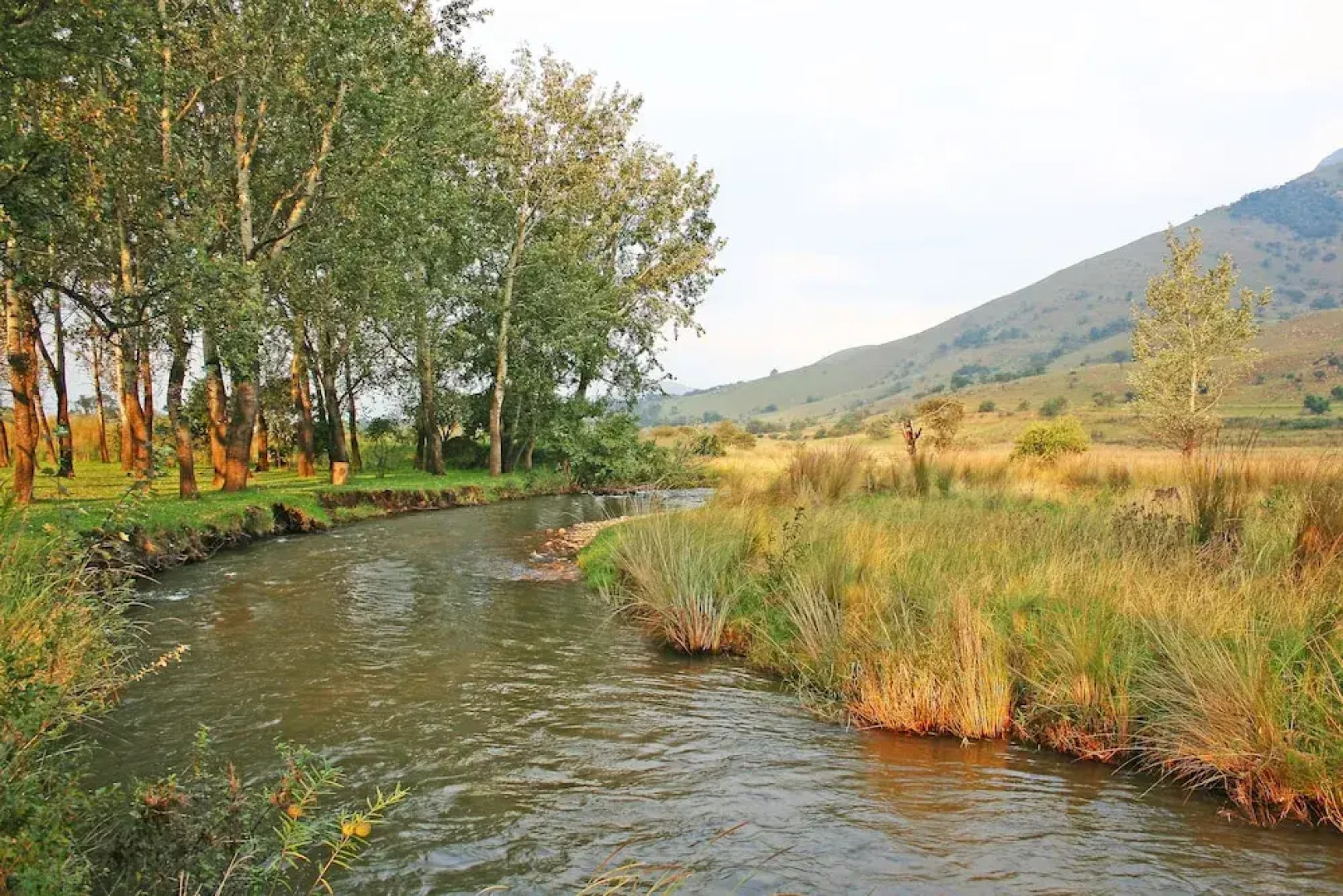 Verlorenkloof Estate