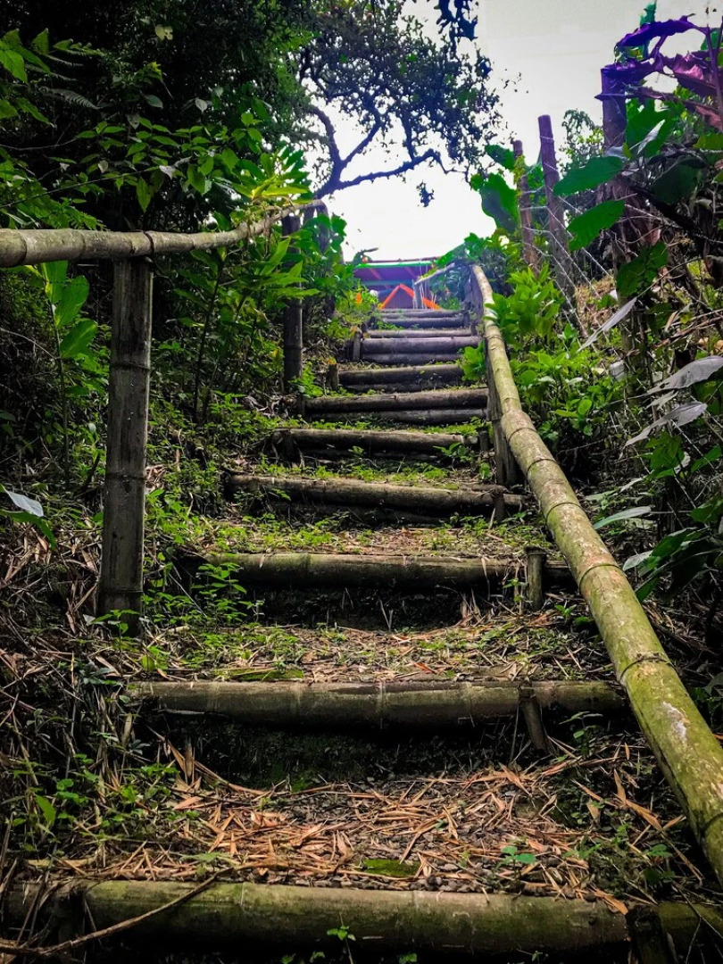 Room With 2 Double Beds Number 14