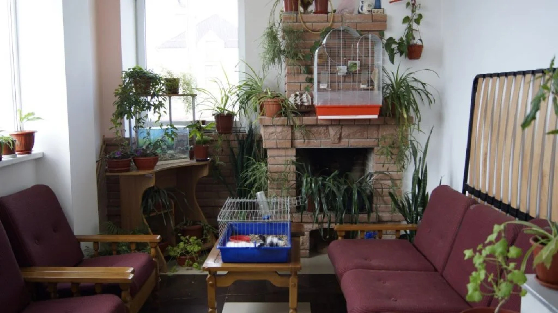 Максимова Дача