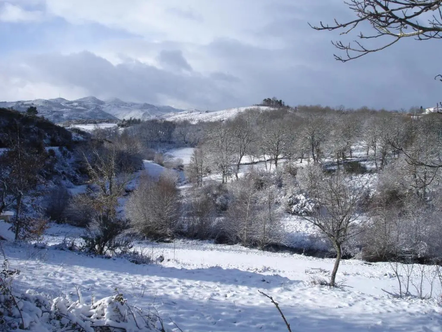 Casa do Alto Montalegre