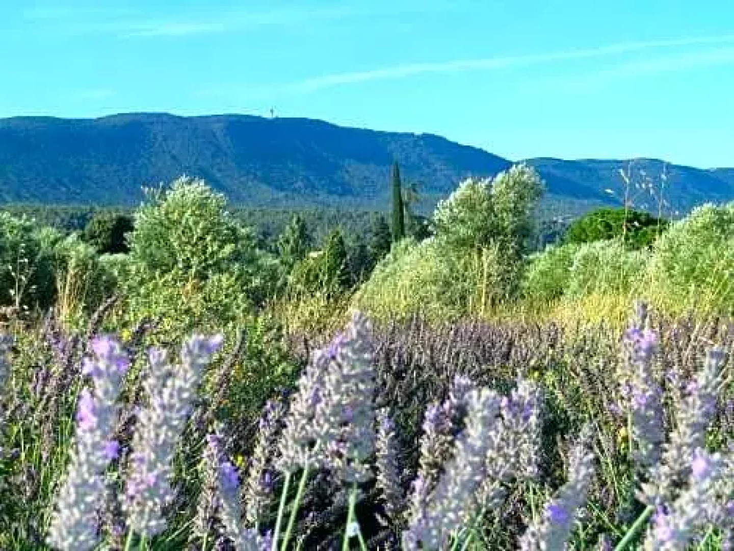 La Mordoree (Adults Only)