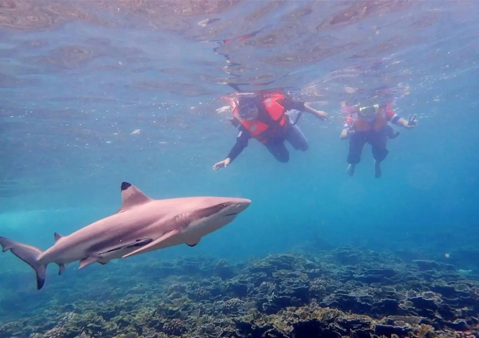 Perhentian Sri Tanjung , Pulau Perhentian